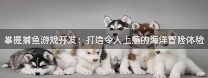 沐鸣2娱乐平台注册