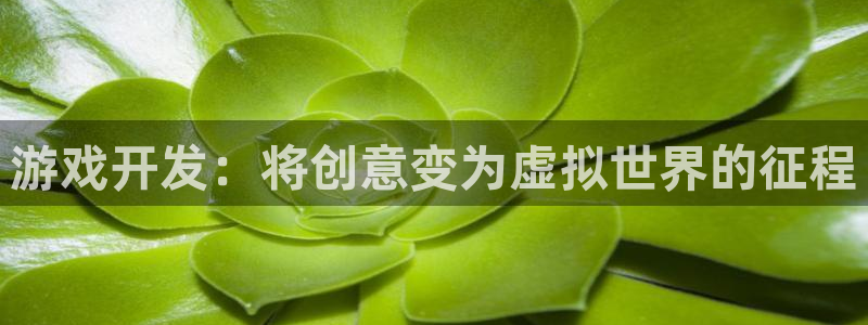沐鸣娱乐2的分分彩