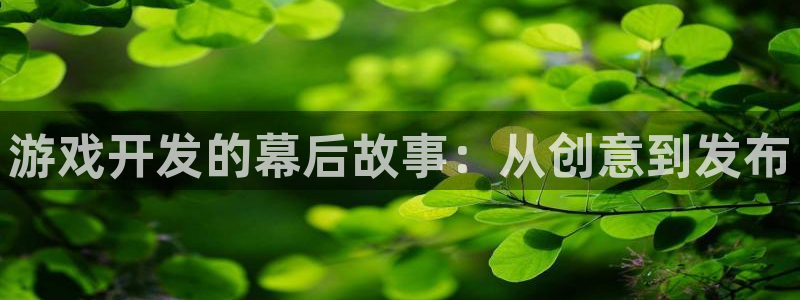 沐鸣娱乐2官网网址是多少