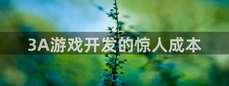 沐鸣2平台负责人