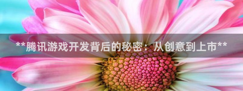 沐鸣2注册说来77542