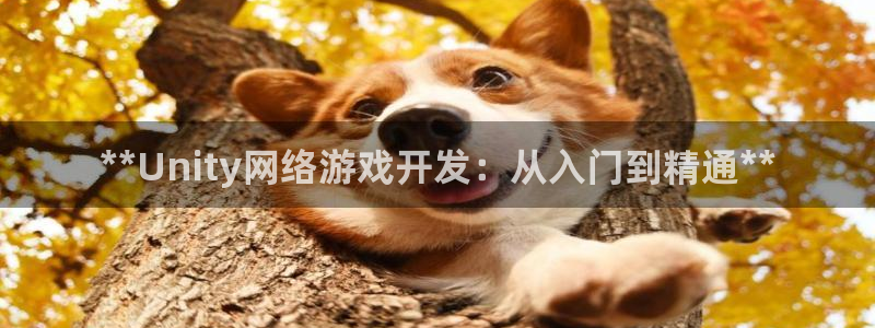 沐鸣2输钱能要回来吗