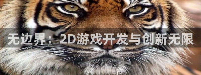 沐鸣娱乐2官网网址是什么：无边界：2D游戏开发与创新无限