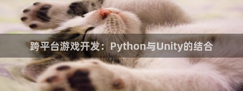 沐鸣2注册33300tg：跨平台游戏开发：Python与Unity的结合
