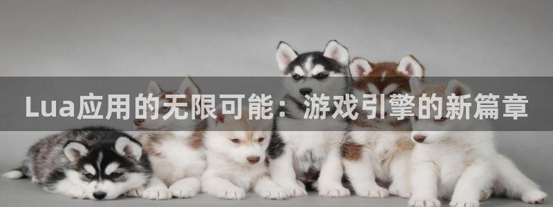沐鸣2注册网站：Lua应用的无限可能：游戏引擎的新篇章