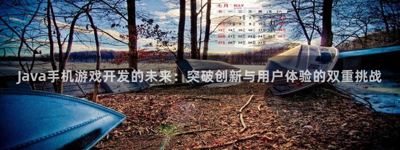 沐鸣2平台是杏彩的吗：Java手机游戏开发的未来：突破创新与用户体验的双重挑战