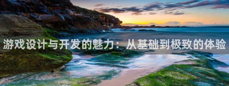 沐鸣娱乐2登录平台官网网址：游戏设计与开发的魅力：从基础到极致的体验