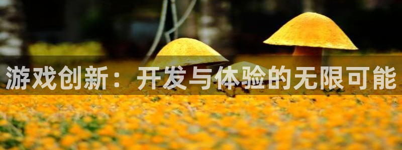 沐鸣2票35994度：游戏创新：开发与体验的无限可能
