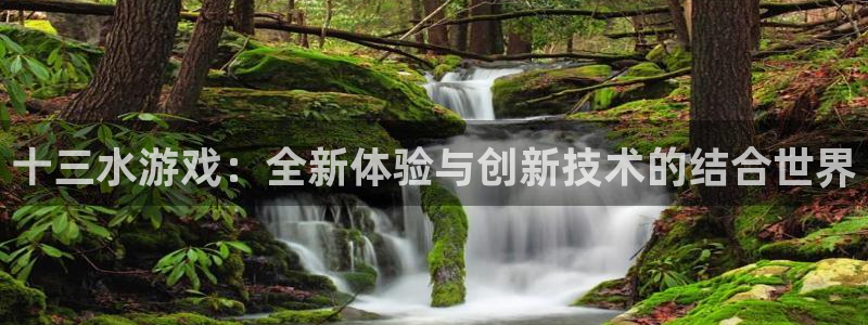 沐鸣2代理求27337：十三水游戏：全新体验与创新技术的结合世界