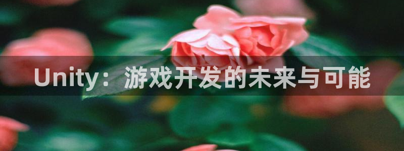 沐鸣2官方注册：Unity：游戏开发的未来与可能