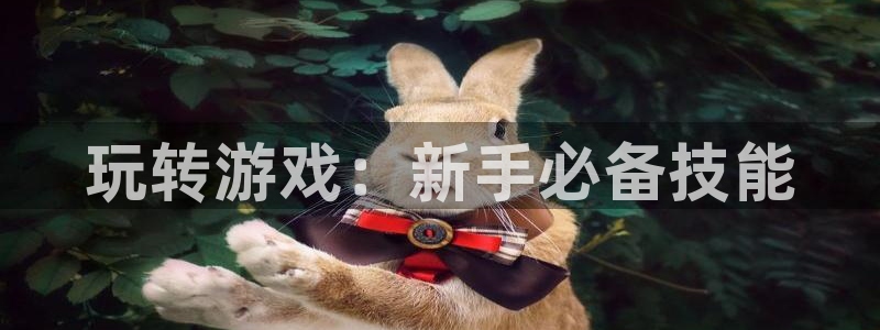 沐鸣2登录官方登录网站：玩转游戏：新手必备技能