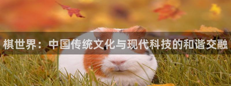 沐鸣2注册登入：棋世界：中国传统文化与现代科技的和谐交融