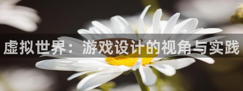 沐鸣娱乐2不能注册：虚拟世界：游戏设计的视角与实践