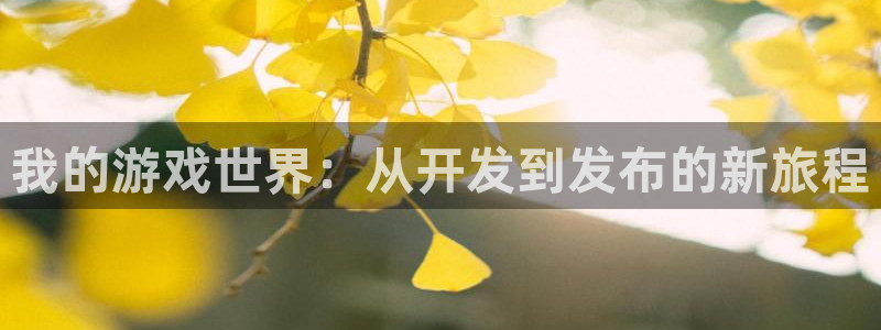 沐鸣2平台测速登录：我的游戏世界：从开发到发布的新旅程