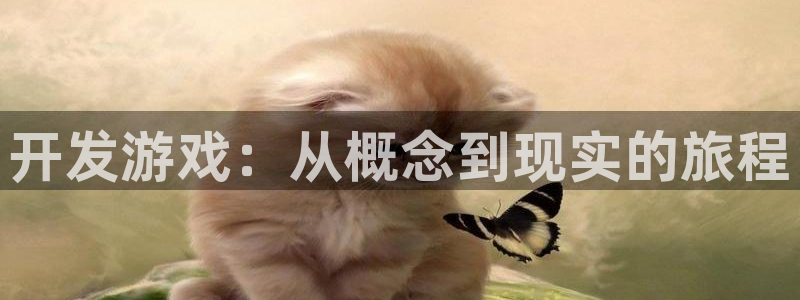 沐鸣2平台代理：开发游戏：从概念到现实的旅程