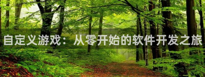 沐鸣2注册首页：自定义游戏：从零开始的软件开发之旅