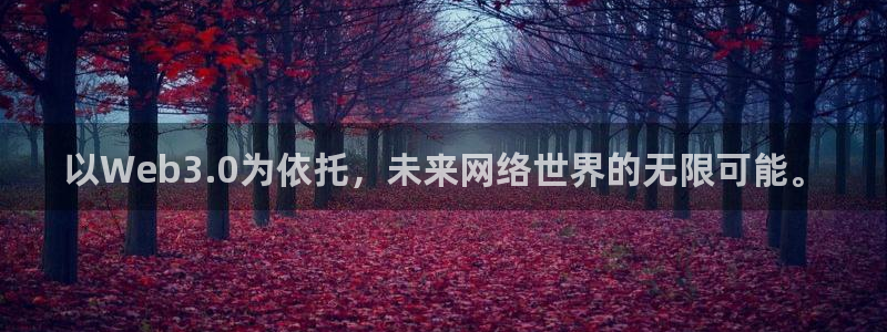 沐鸣娱乐2官网：以Web3.0为依托，未来网络世界的无限可能。