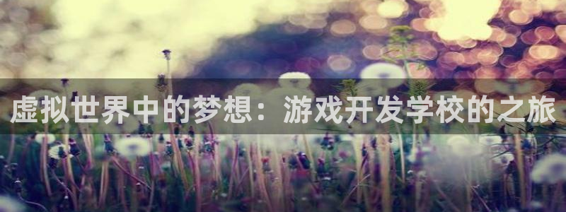 沐鸣娱乐2登录平台官网：虚拟世界中的梦想：游戏开发学校的之旅