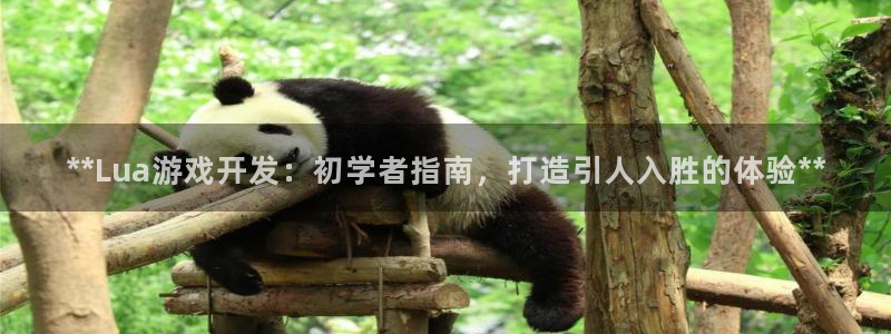 沐鸣娱乐2官网网址是什么：**Lua游戏开发：初学者指南，打造引人入胜的体验**